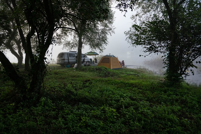 8 Things to Have When Camping and Fishing with Your Family