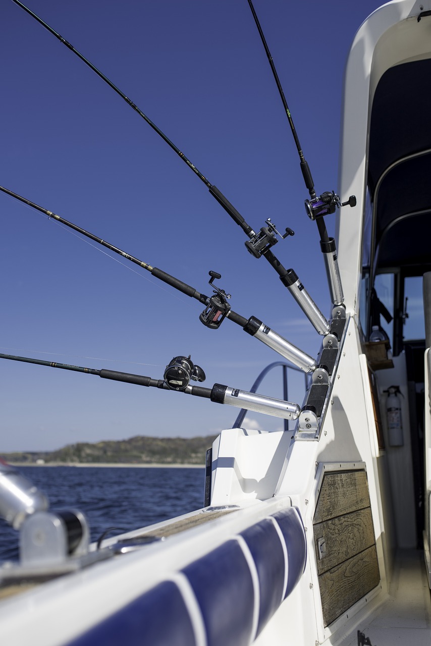 Hook, Line, and Sinker: The Best Fishing Spots Await in Jaco